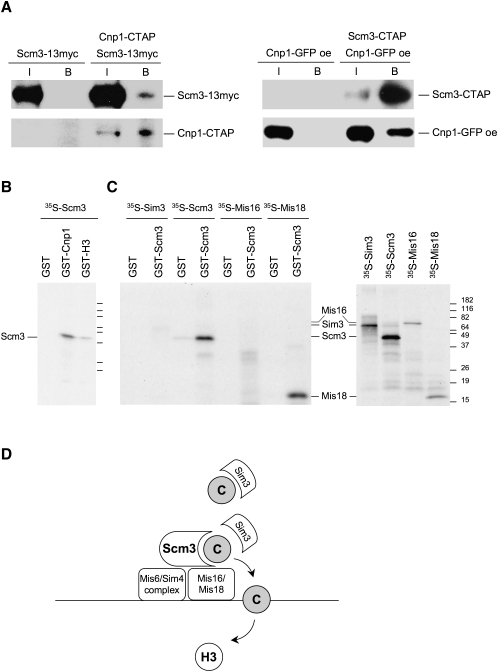 Figure 7