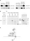 Figure 7