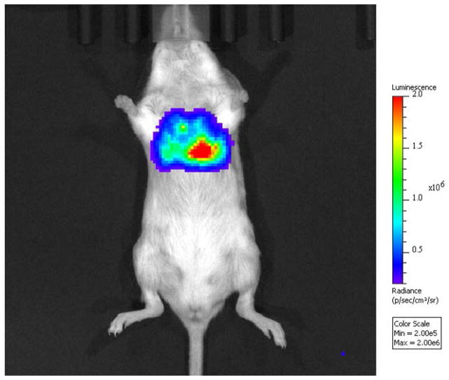 Fig. 2