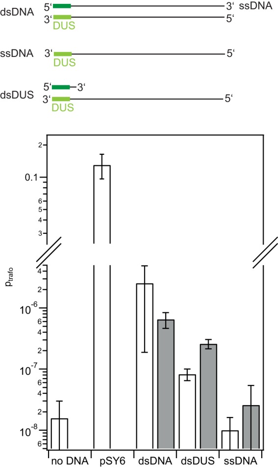 FIG 5