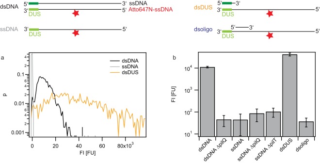 FIG 3