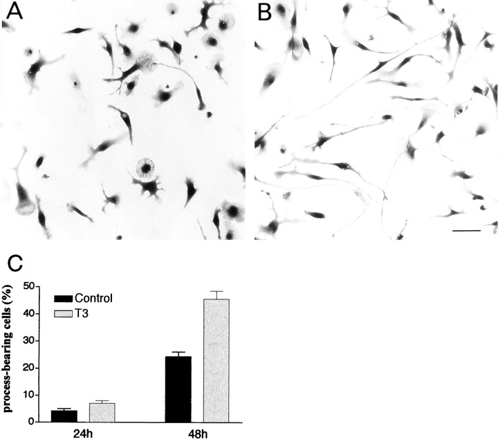 Fig. 8.