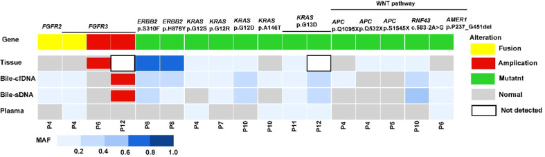 Figure 6