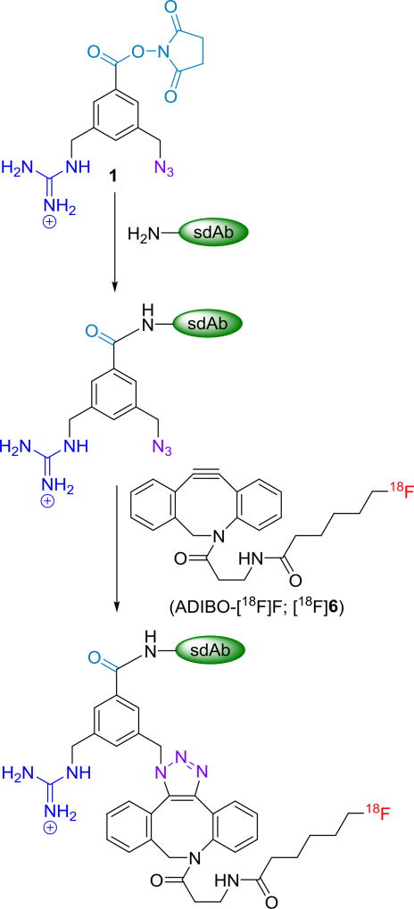 Scheme 1