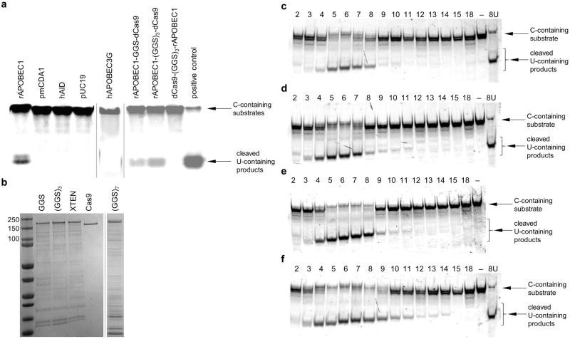 Extended Data Figure 1