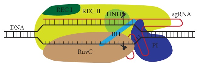 Figure 4