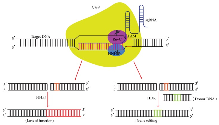 Figure 2