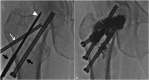 Fig. 8
