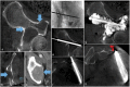 Fig. 6