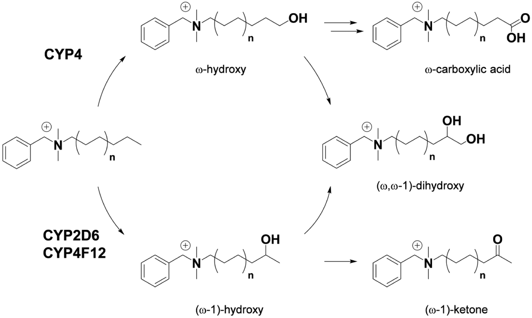 Figure 9.