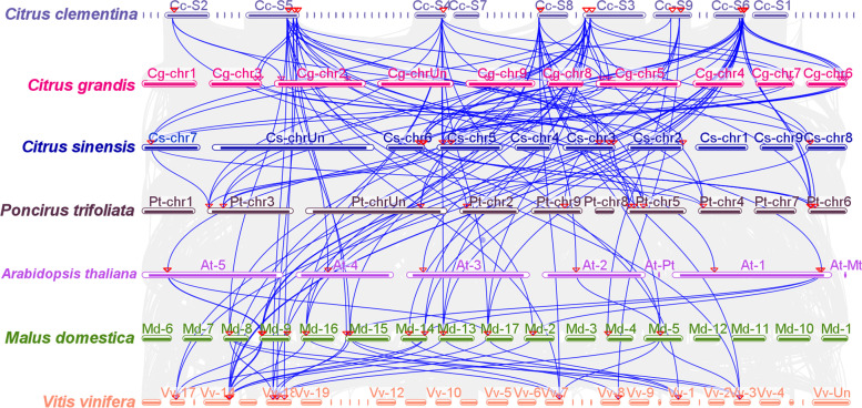 Fig. 10