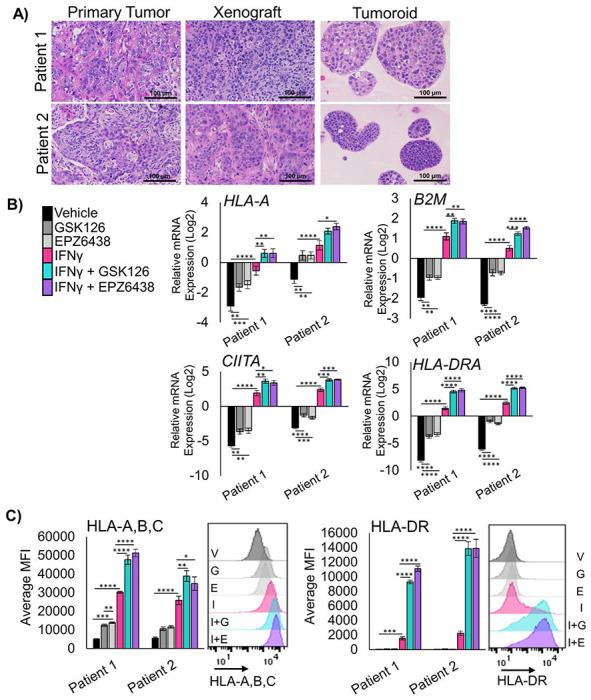 Figure 2: