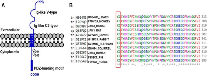 FIGURE 1.