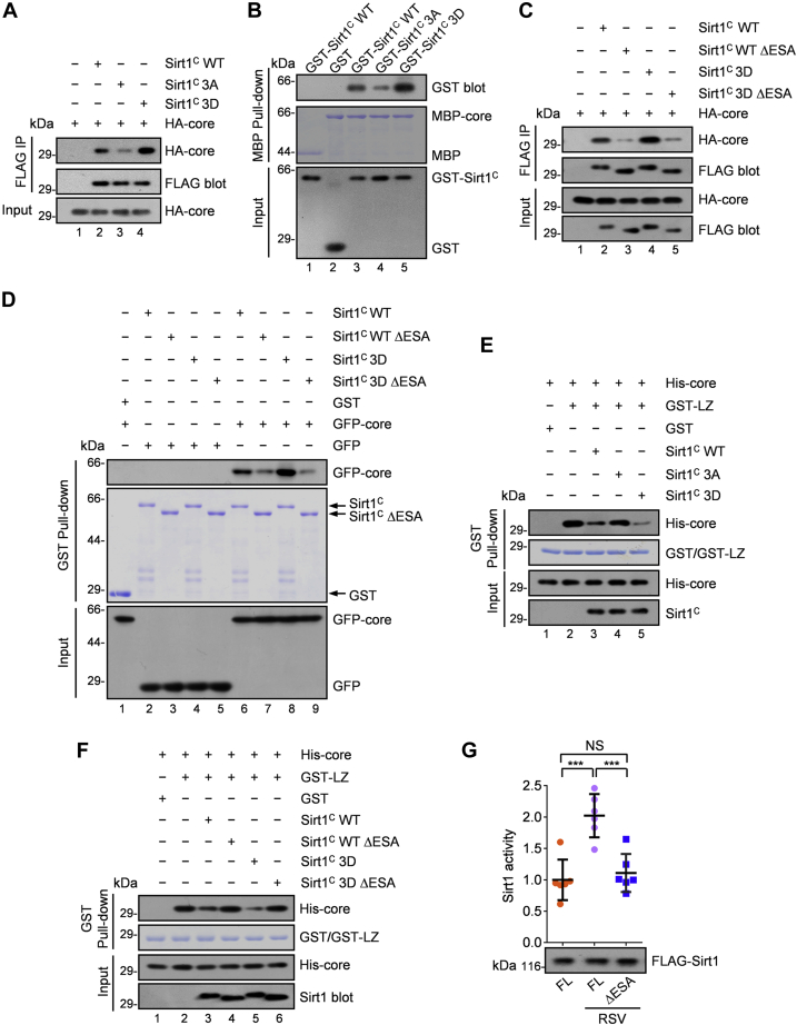 Figure 3