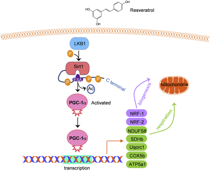 Figure 6