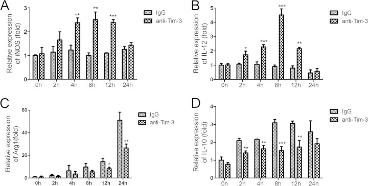 FIG 6