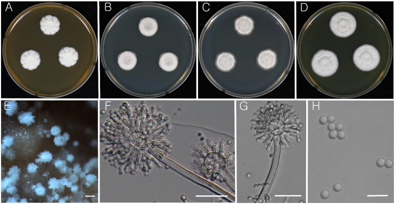 Figure 3.