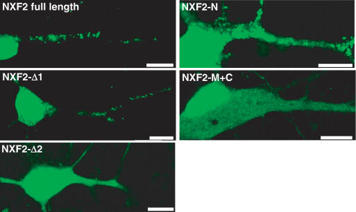 Figure 6.