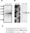 FIG. 4.