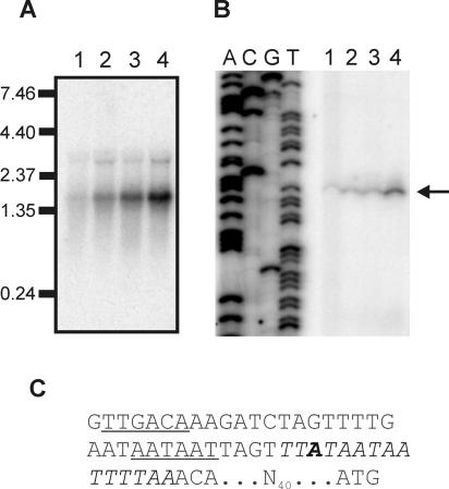 FIG. 4.