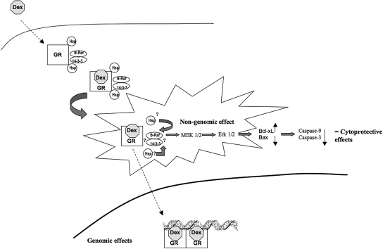 Figure 9.