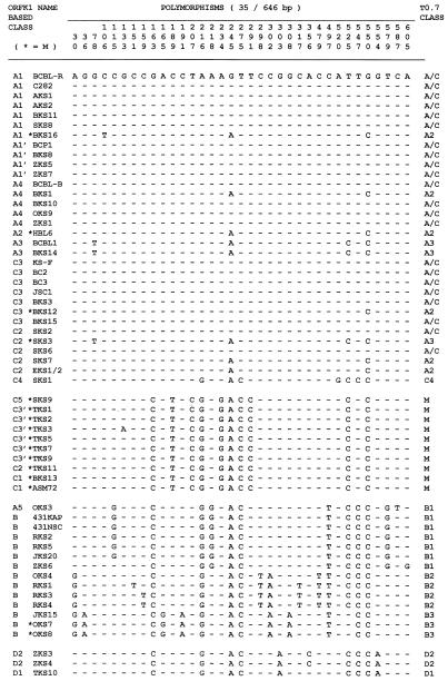 FIG. 7