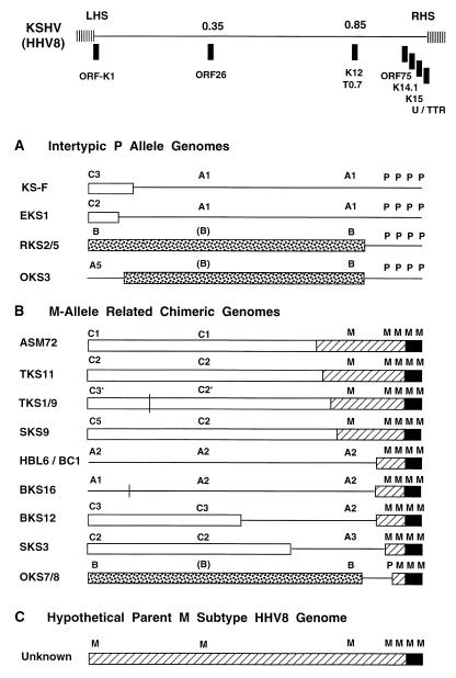 FIG. 10