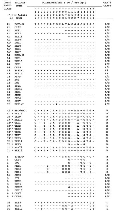 FIG. 6