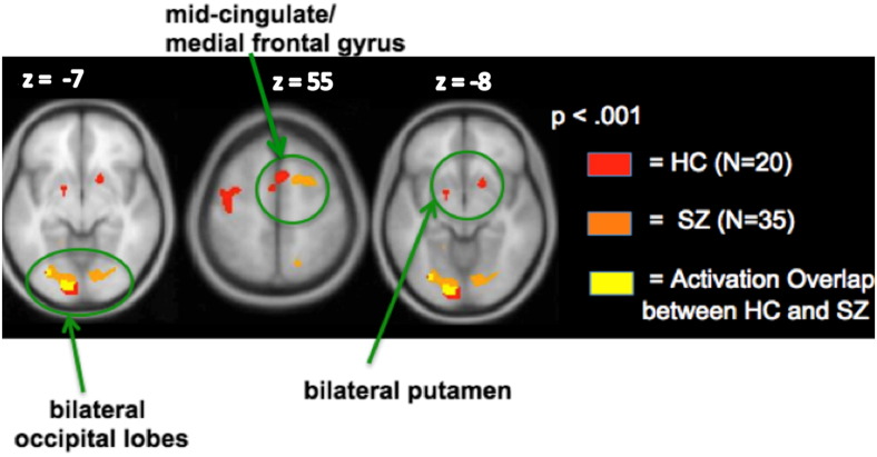 Fig. 6