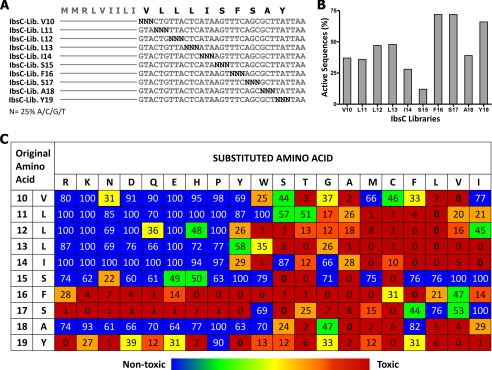 FIGURE 4.