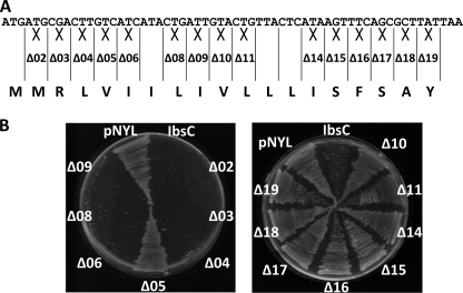 FIGURE 2.