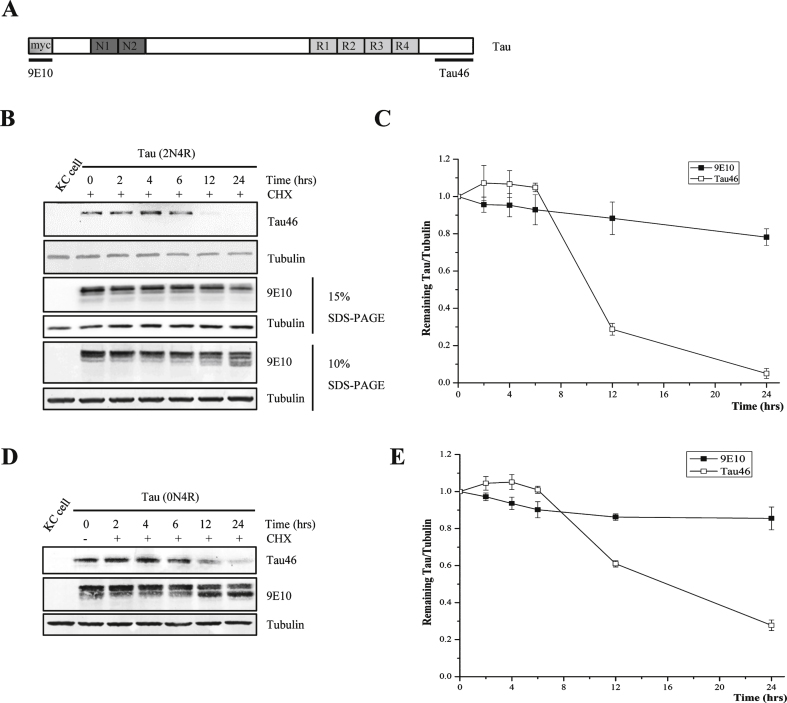 Fig.1