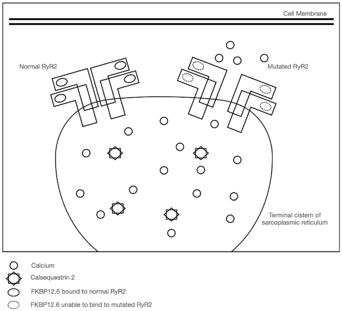 Fig. 3