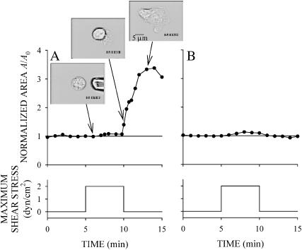 FIGURE 3