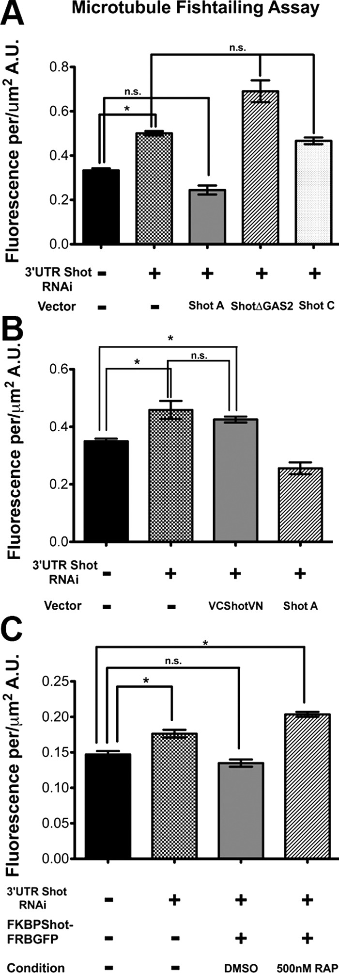 FIGURE 5: