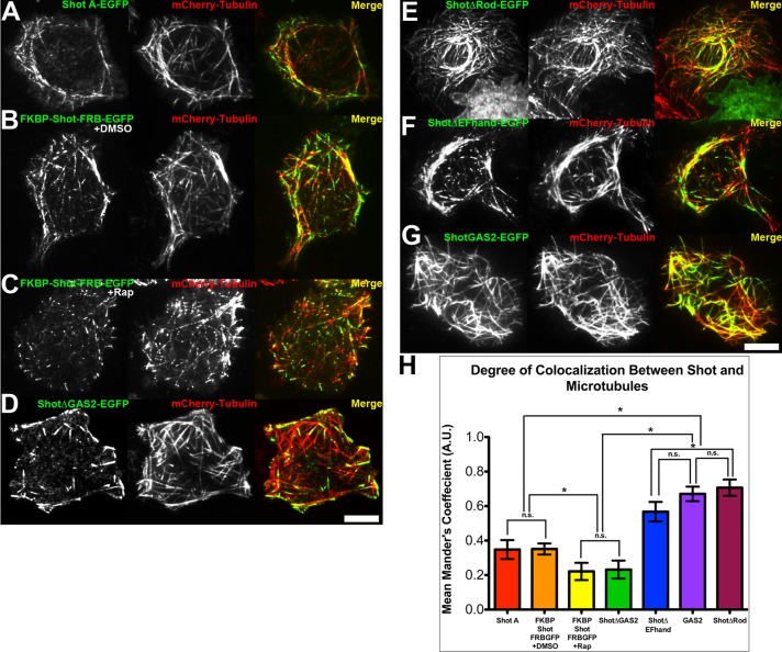 FIGURE 3: