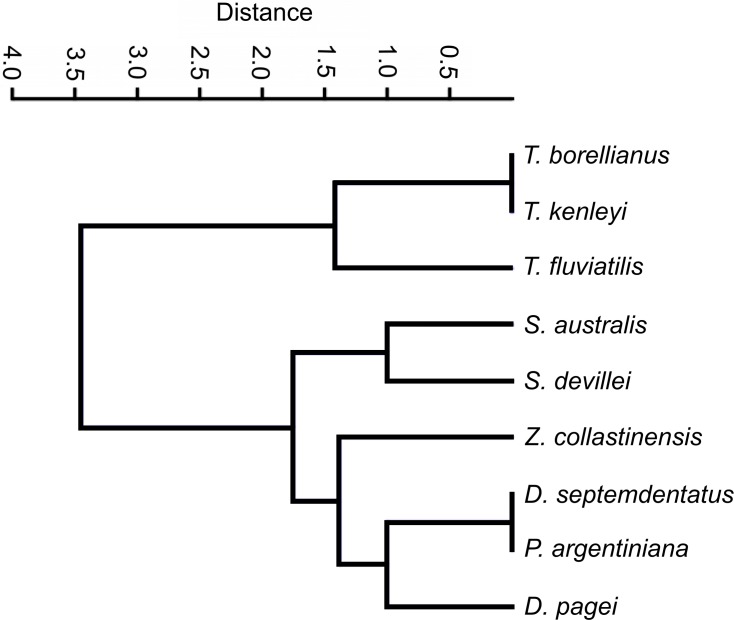 Figure 6