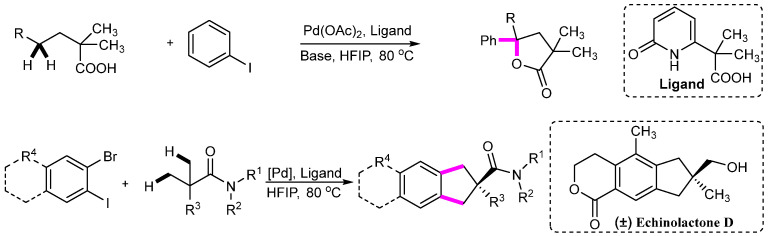 Scheme 30