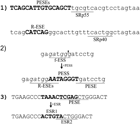 FIGURE 1.