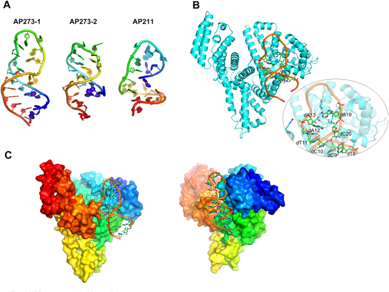 Figure 6