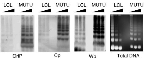 FIG. 6.