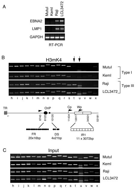 FIG. 2.