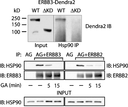 Fig. 7