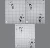 Figure 5 (A, B, C)