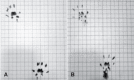 Figure 3A and 3B
