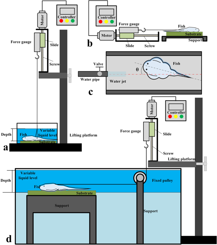 Figure 7