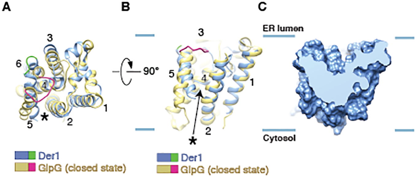 Fig. 3.