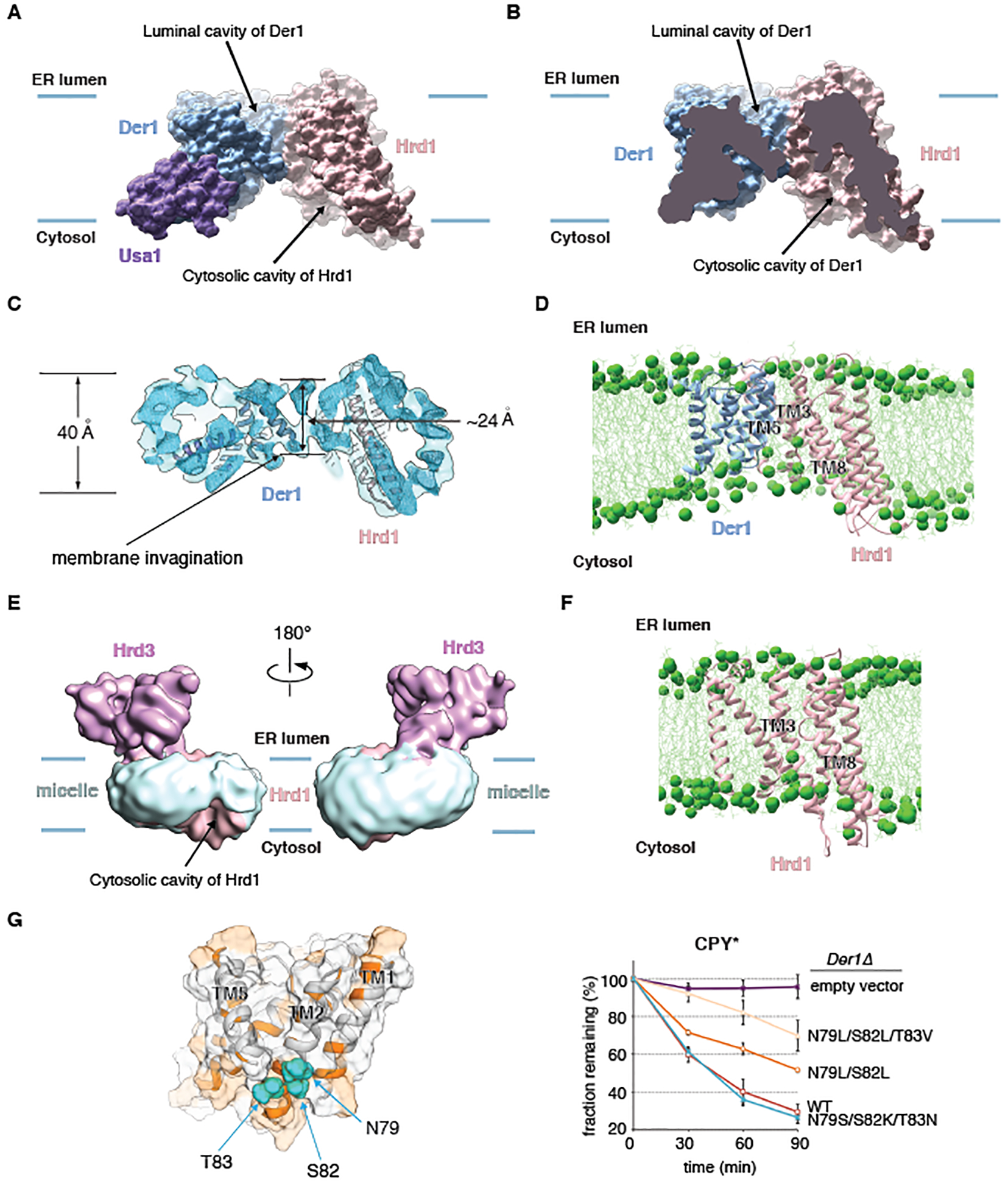 Fig. 4.