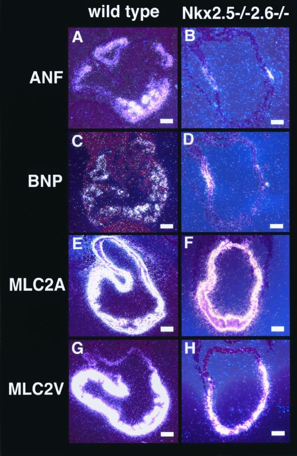 FIG. 6