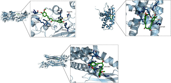 Figure 7